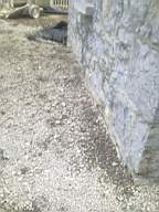 Carrowmore  10550.jpg
